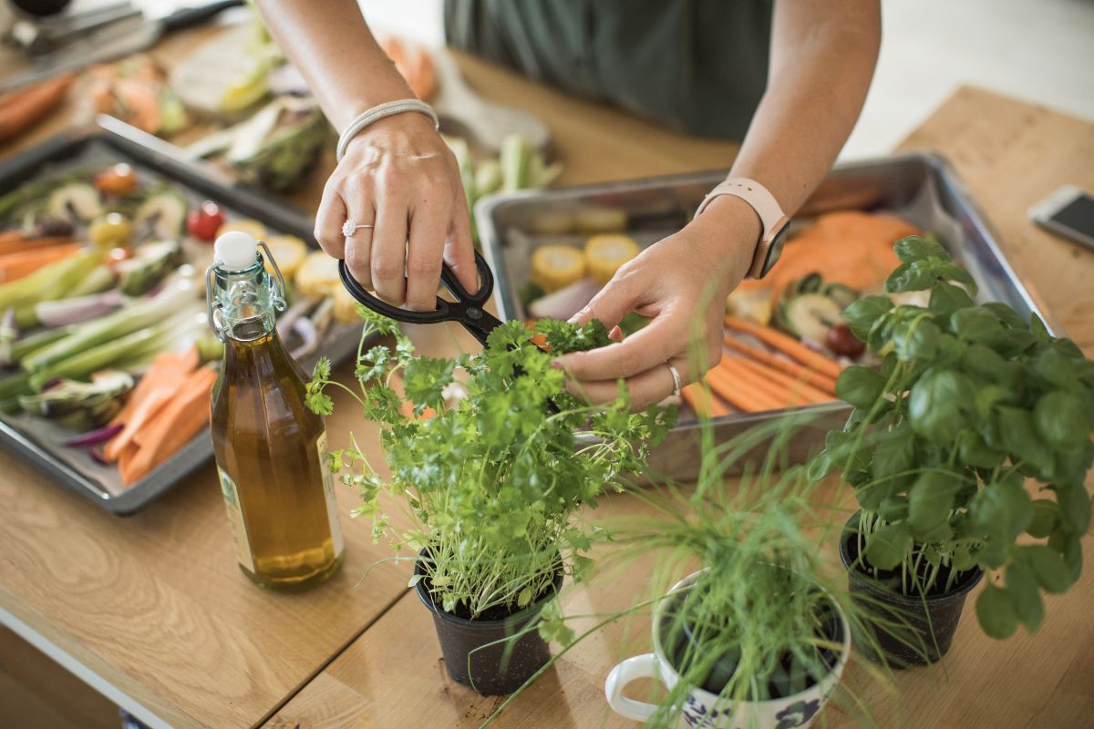 Unmatched Performance in Vegetable Preparation