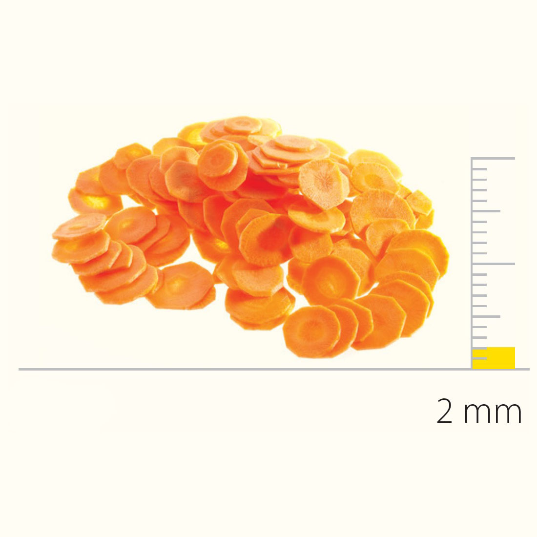 Dito Sama DS650083 Stainless Steel Slicing Disc With S-Blades 2 mm