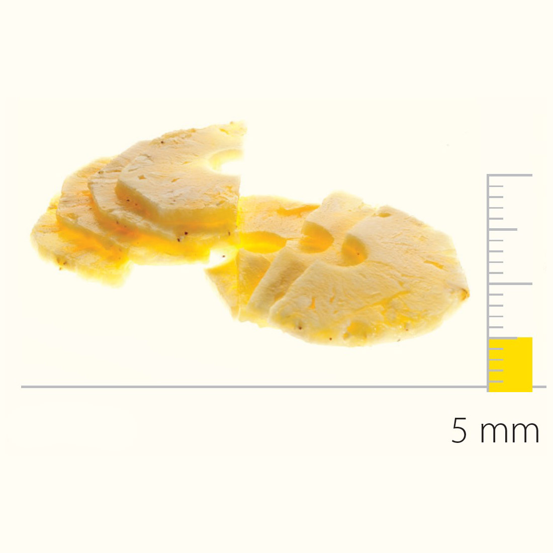 Dito Sama DS650086 Stainless Steel Slicing Disc With S-Blades 5 mm