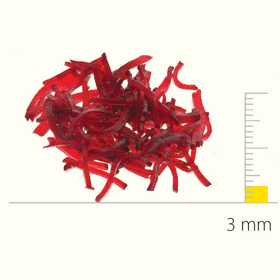 Dito Sama DS650167 Stainless Steel Shredding Disc With S-Blades 3X3 Mm