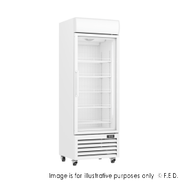 Thermaster 400L Upright Single Glass Door Freezer – LG-400PF
