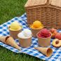 PakMax KRAFT 3oz Icecream Cup - ICC-70-3K