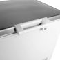 Thermaster 600L Chest Freezer with Stainless Steel Lid - BD600F