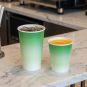 PakMax 12oz Single Layer Cold Paper Cup - SLCPC-90-12G