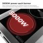 Electmax 700 Series Induction 6-Burner Cooker with Splashback EIC7-1200P