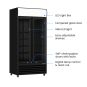 Thermaster Double Glass Door Colourbond Upright Drink Fridge - LG-580BP
